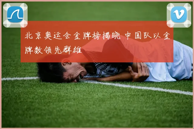 北京奥运会金牌榜揭晓 中国队以金牌数领先群雄