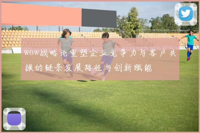 wow战略论重塑企业竞争力与客户共振的链条发展路径与创新赋能