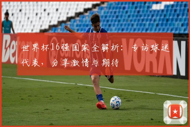 世界杯16强国家全解析：专访球迷代表，分享激情与期待