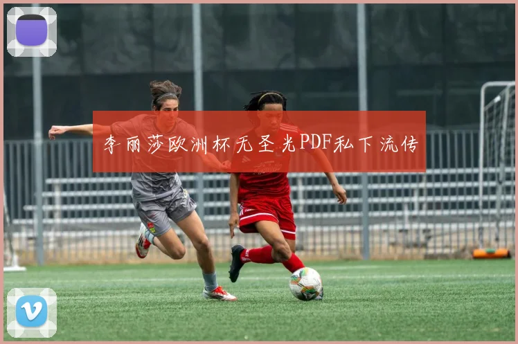 李丽莎欧洲杯无圣光PDF私下流传