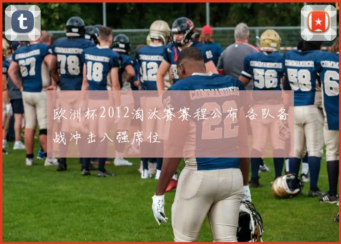 欧洲杯2012淘汰赛赛程公布 各队备战冲击八强席位