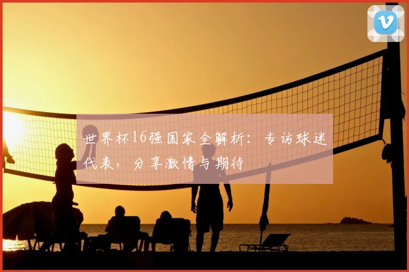 世界杯16强国家全解析：专访球迷代表，分享激情与期待
