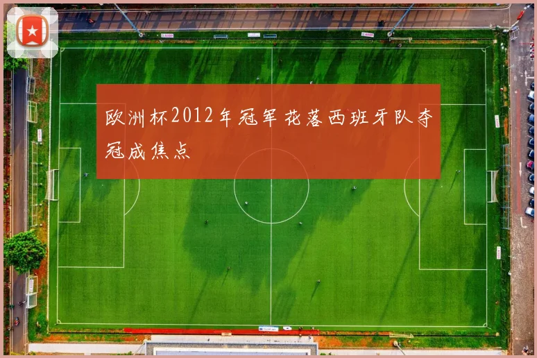 欧洲杯2012年冠军花落西班牙队夺冠成焦点