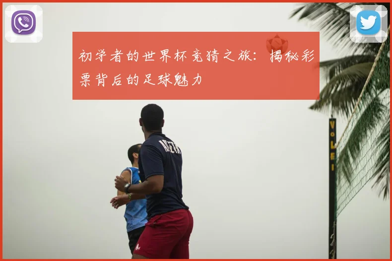 初学者的世界杯竞猜之旅：揭秘彩票背后的足球魅力