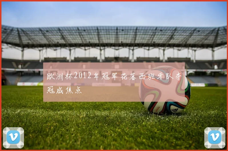 欧洲杯2012年冠军花落西班牙队夺冠成焦点