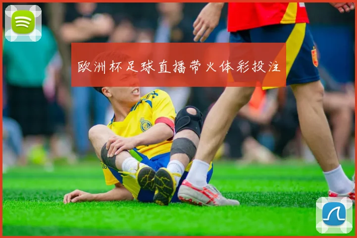 欧洲杯足球直播带火体彩投注